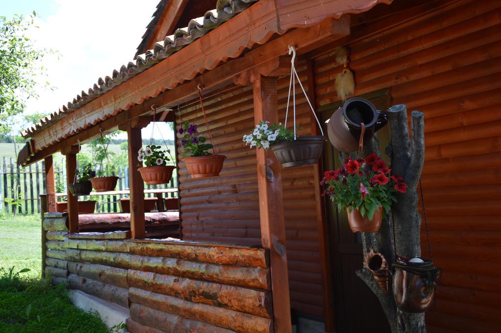 Guest House Kosharite Byala  Pokoj fotografie